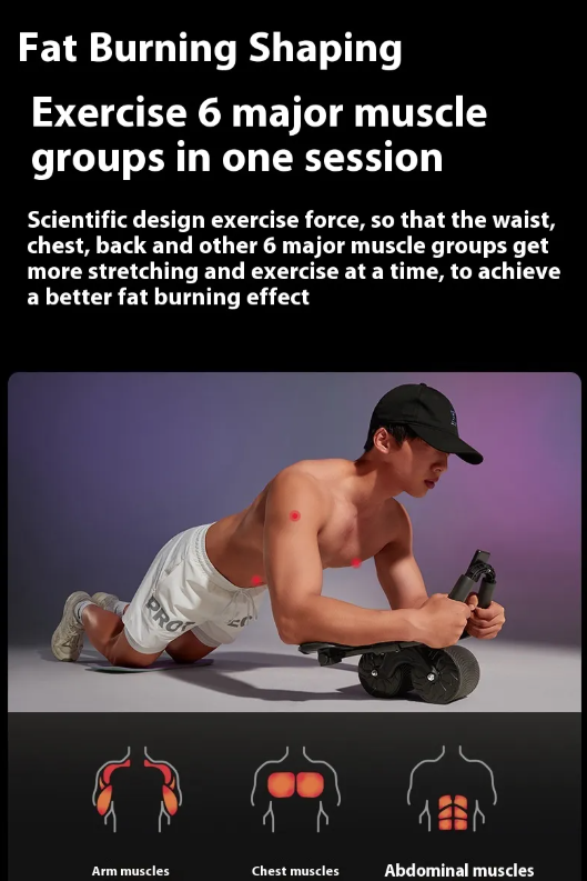 Automatic Rebound Abdominal Wheel – Self-Return Core Roller for Home Workouts