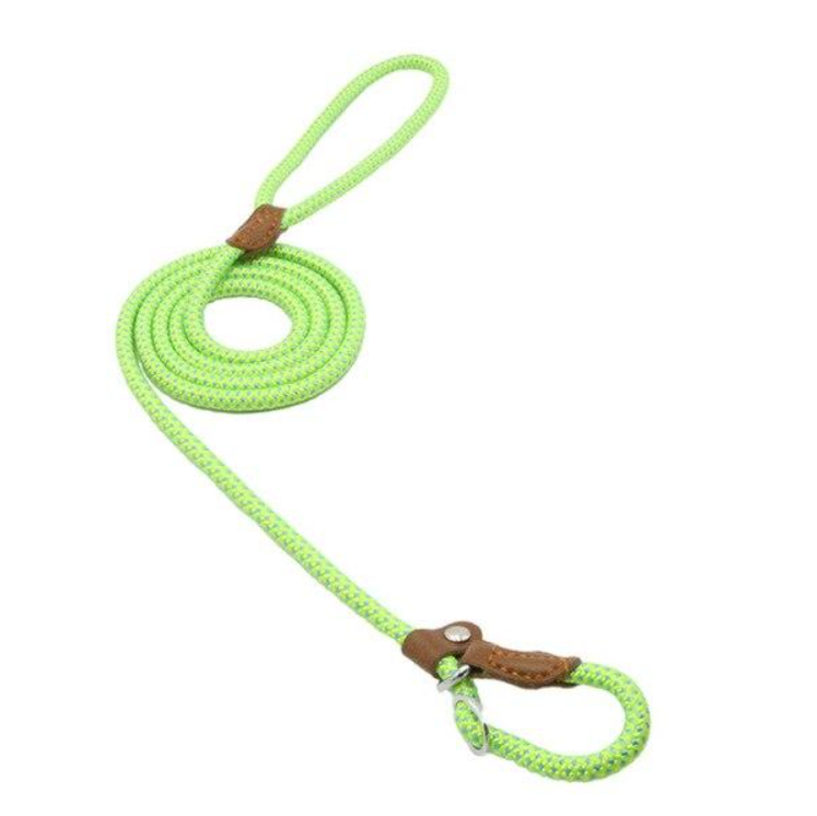 Nylon Pup Set – Adjustable Collar, Leash & Harness Set for Dogs