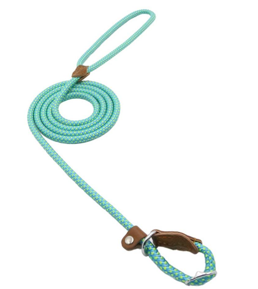Nylon Pup Set – Adjustable Collar, Leash & Harness Set for Dogs