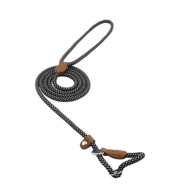Nylon Pup Set – Adjustable Collar, Leash & Harness Set for Dogs