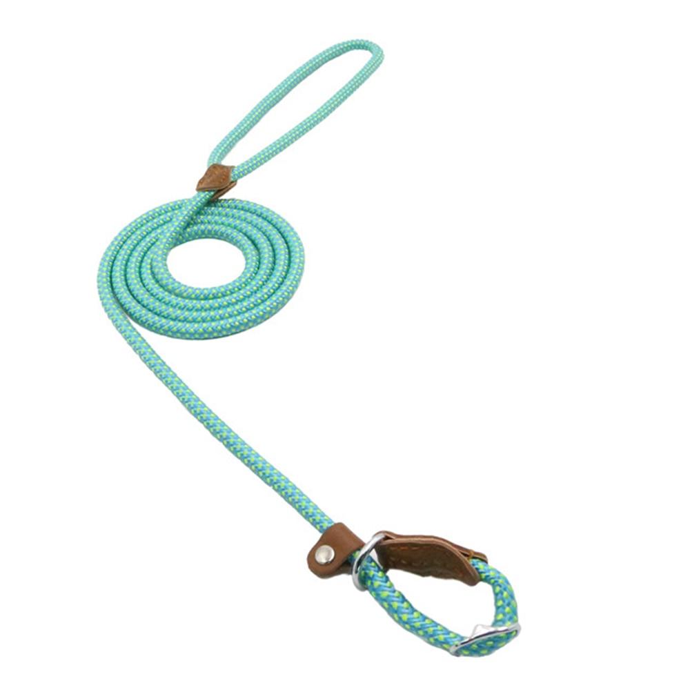 Nylon Pup Set – Adjustable Collar, Leash & Harness Set for Dogs