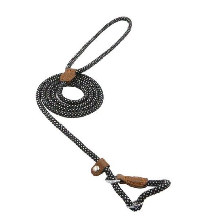 Nylon Pup Set – Adjustable Collar, Leash & Harness Set for Dogs