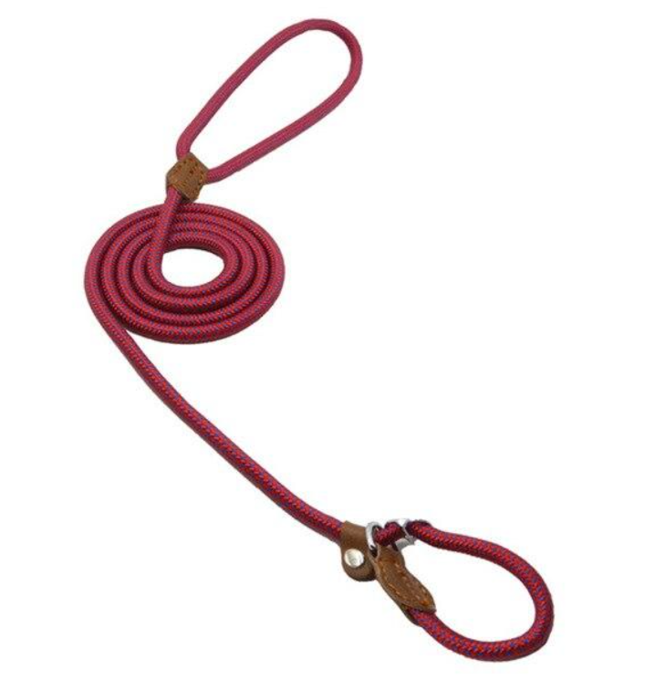 Nylon Pup Set – Adjustable Collar, Leash & Harness Set for Dogs