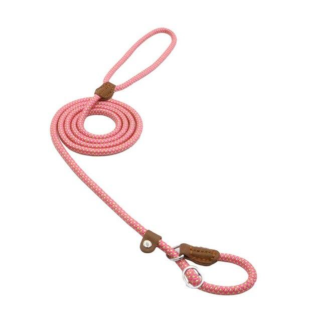 Nylon Pup Set – Adjustable Collar, Leash & Harness Set for Dogs