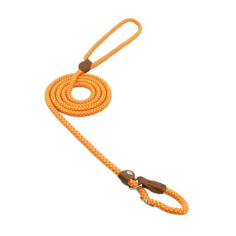 Nylon Pup Set – Adjustable Collar, Leash & Harness Set for Dogs