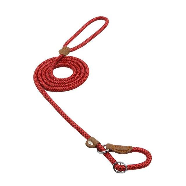 Nylon Pup Set – Adjustable Collar, Leash & Harness Set for Dogs