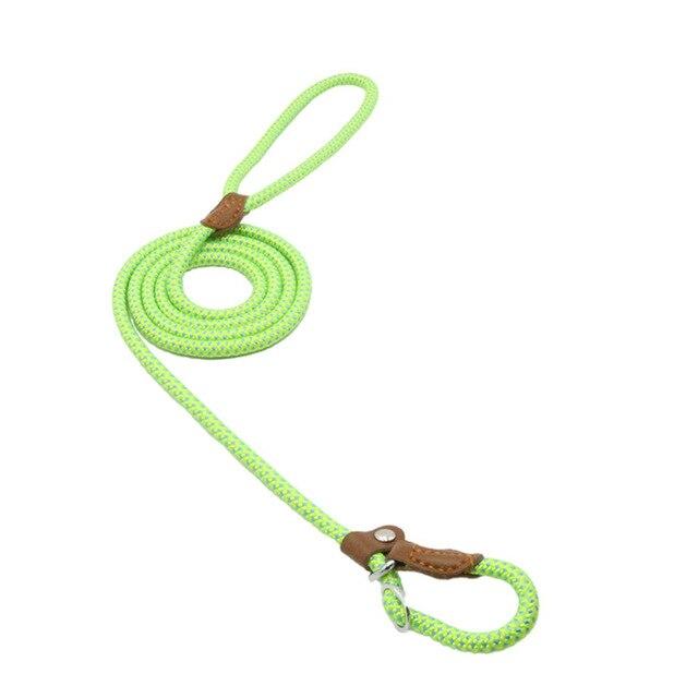 Nylon Pup Set – Adjustable Collar, Leash & Harness Set for Dogs