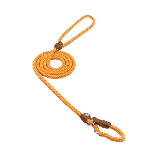 Nylon Pup Set – Adjustable Collar, Leash & Harness Set for Dogs