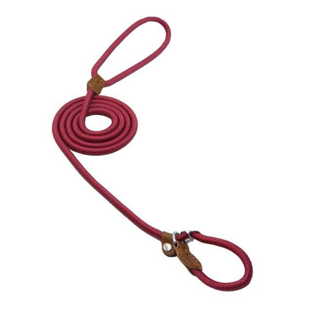 Nylon Pup Set – Adjustable Collar, Leash & Harness Set for Dogs