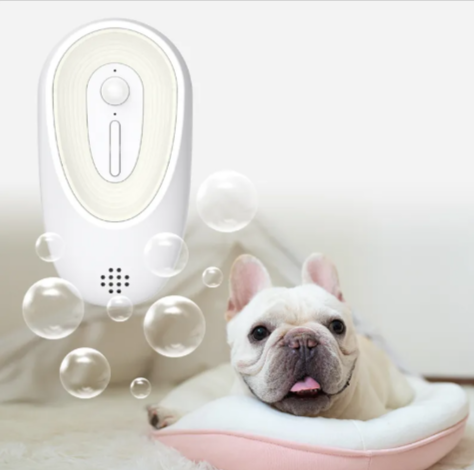 Pet Odor Eliminator for Litter Boxes – Neutralize Cat Smells Instantly